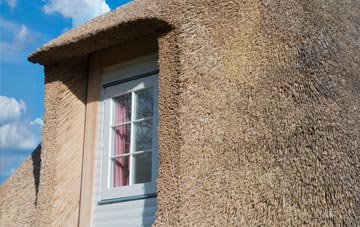 Veness thatch roof disadvantages