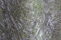 Veness fibreglass roof work